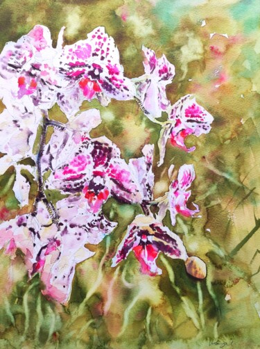 Pintura titulada "Orchids Cascade" por Ibolya Taligas, Obra de arte original, Acuarela