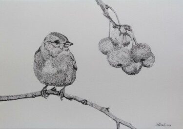 Desenho intitulada "Bird and wild fruit" por Ibrahim Unal, Obras de arte originais, Lápis