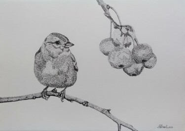 Drawing titled "Bird and wild fruit" by Ibrahim Unal, Original Artwork, Pencil