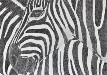 "Zebra 1" başlıklı Resim Ibrahim Unal tarafından, Orijinal sanat, Grafit