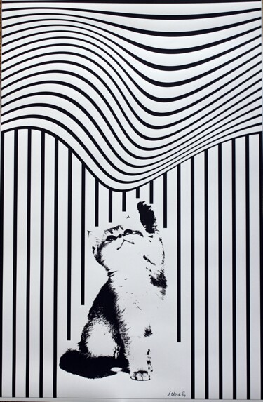 Digitale Kunst mit dem Titel "Cat II" von Ibrahim Unal, Original-Kunstwerk, Digitale Malerei