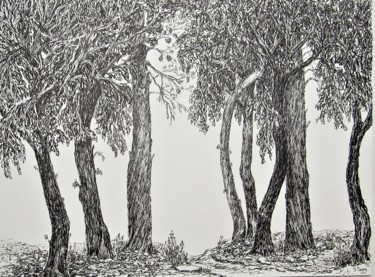 Dibujo titulada "Chenes et pins" por Isabelle Stagg, Obra de arte original, Tinta