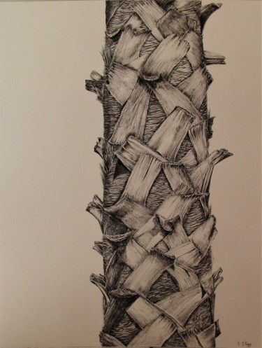 Drawing titled "tronc-de-palmier.jpg" by Isabelle Stagg, Original Artwork, Ink