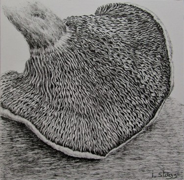 Dessin intitulée "Champignon.jpg" par Isabelle Stagg, Œuvre d'art originale, Encre