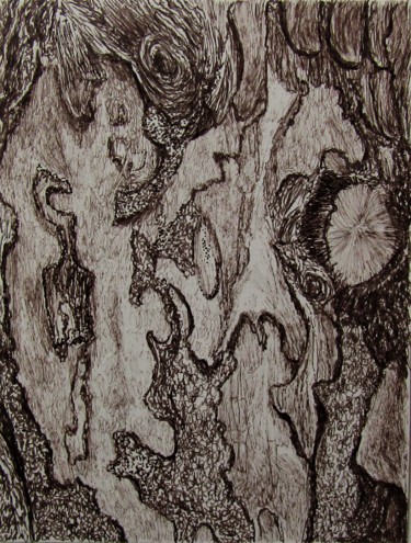 Dibujo titulada "Bark study" por Isabelle Stagg, Obra de arte original, Tinta