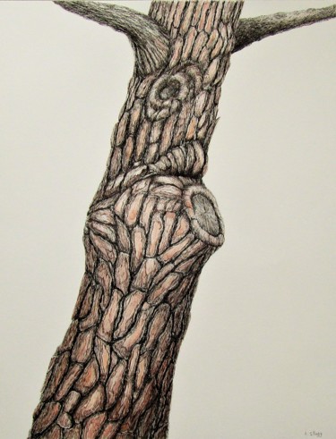 Рисунок под названием "Ecorce Pin Parasol" - Isabelle Stagg, Подлинное произведение искусства, Чернила