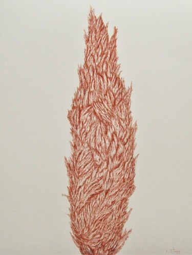 Zeichnungen mit dem Titel "Cypress V" von Isabelle Stagg, Original-Kunstwerk, Tinte