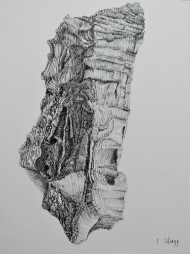 Dibujo titulada "Derive de Quercus S…" por Isabelle Stagg, Obra de arte original, Tinta