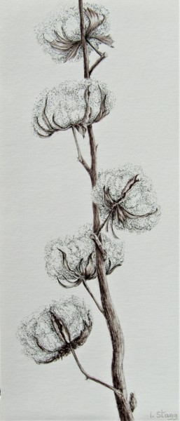 Drawing titled "Cotton balls" by Isabelle Stagg, Original Artwork, Ink