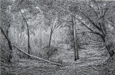 Dessin intitulée "Chênes et pins III/…" par Isabelle Stagg, Œuvre d'art originale, Encre