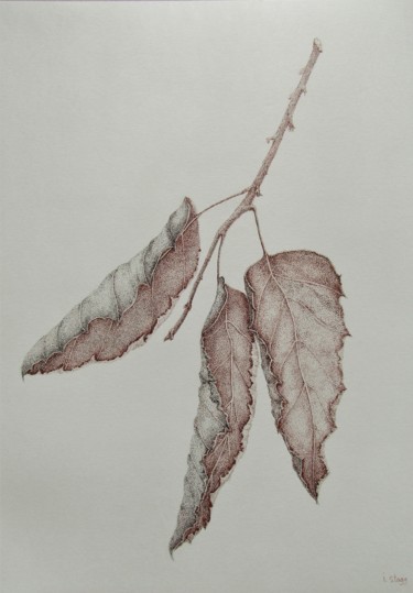 Dessin intitulée "Three leaves" par Isabelle Stagg, Œuvre d'art originale, Encre