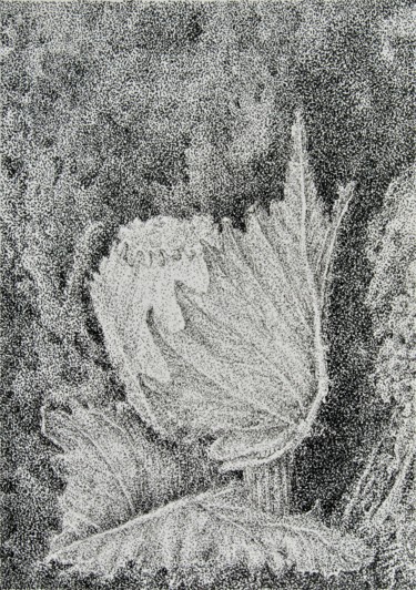 Drawing titled "Bud III" by Isabelle Stagg, Original Artwork, Ink