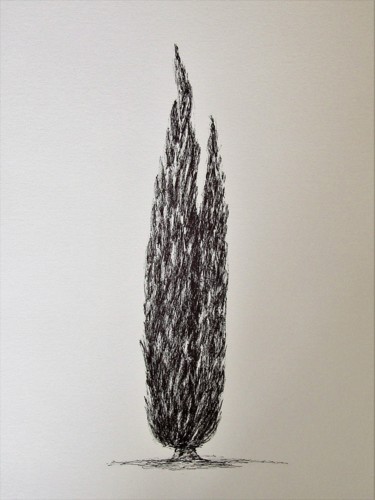 Σχέδιο με τίτλο "cypress 1" από Isabelle Stagg, Αυθεντικά έργα τέχνης, Μελάνι