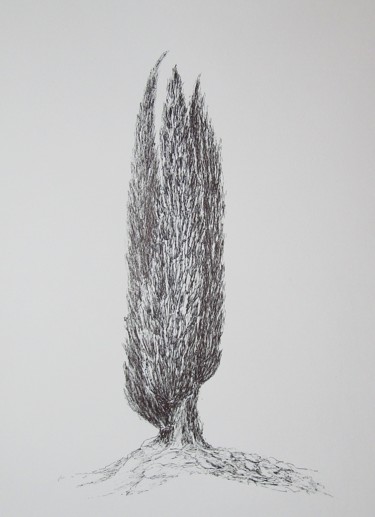 Dessin intitulée "Old Cypress" par Isabelle Stagg, Œuvre d'art originale, Encre Monté sur Verre