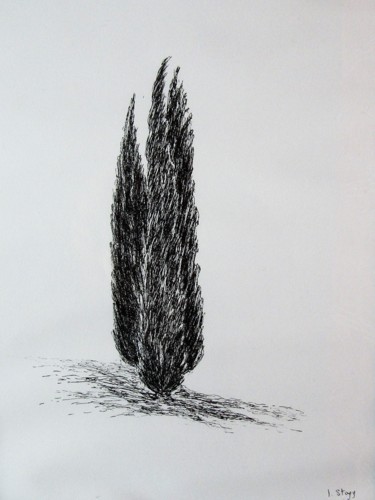 Disegno intitolato "Cypresses" da Isabelle Stagg, Opera d'arte originale, Inchiostro