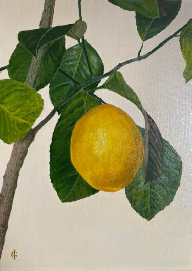 Painting titled "Lemon tree" by Ieva Graudina (IGraudinaArt), Original Artwork, Oil
