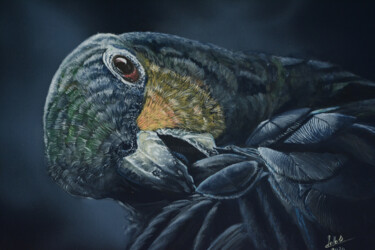绘画 标题为“Amazon parrot” 由Ignazio Zollo, 原创艺术品, 丙烯