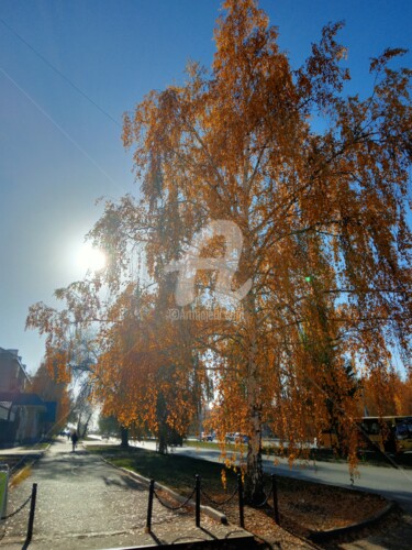 Фотография под названием "Осень в Сибири.." - Игорь Абрамов, Подлинное произведение искусства, Не манипулируемая фотография