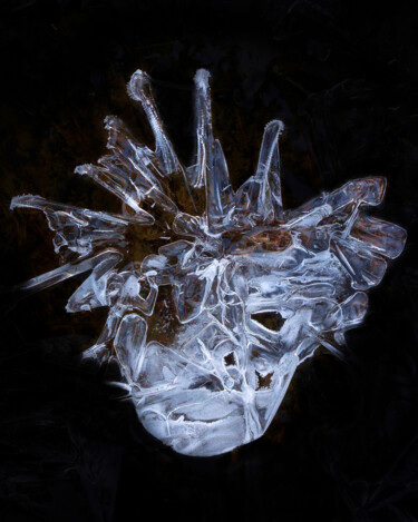 Photographie intitulée "Iceman" par Igor Borišek, Œuvre d'art originale, Photographie numérique