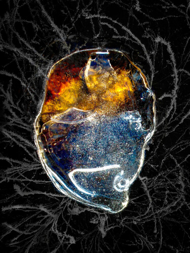 Photography titled "Medusa" by Igor Borišek, Original Artwork, Digital Photography
