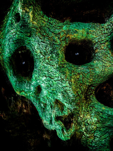 Fotografia intitolato "Mantis" da Igor Borišek, Opera d'arte originale, Fotografia digitale