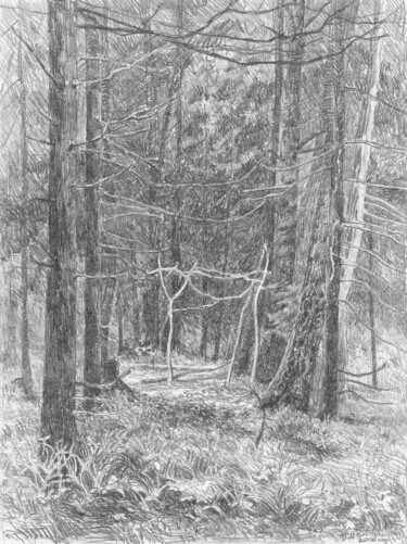 Dessin intitulée "Лесной шалаш" par Igor Masin, Œuvre d'art originale, Crayon