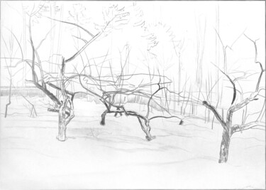 Dessin intitulée "Яблоневый сад зимой" par Igor Masin, Œuvre d'art originale, Crayon