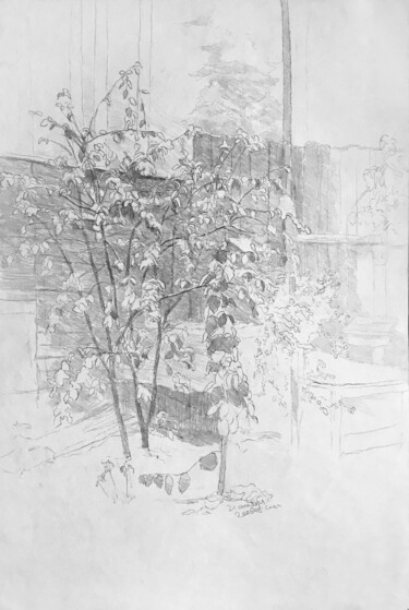 Malerei mit dem Titel "Первый снег_3" von Igor Masin, Original-Kunstwerk, Bleistift