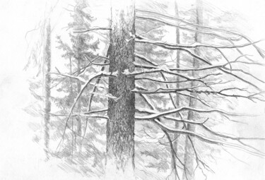 「Еловые ветви」というタイトルの描画 Игорь Машинによって, オリジナルのアートワーク, 鉛筆