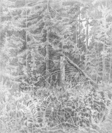 Рисунок под названием "Лесной малинник" - Игорь Машин, Подлинное произведение искусства, Карандаш