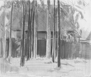 Рисунок под названием "Стволы деревьев" - Игорь Машин, Подлинное произведение искусства, Карандаш