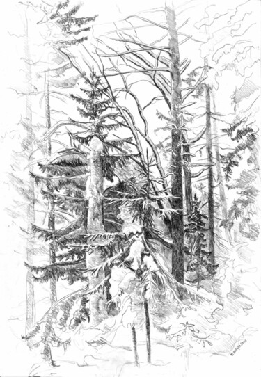 图画 标题为“Лес зимой” 由Игорь Машин, 原创艺术品, 铅笔