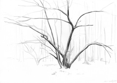 Рисунок под названием "Орешник в лесу" - Игорь Машин, Подлинное произведение искусства, Карандаш