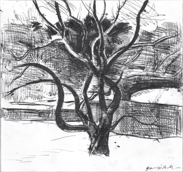 Dessin intitulée "Яблоня 3" par Igor Masin, Œuvre d'art originale, Encre