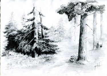 Painting titled "Forest" by Igor Nik, Original Artwork, Pencil