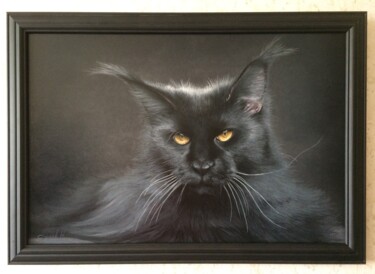 Painting titled "Чёрный кот" by Igor Surkov, Original Artwork, Oil