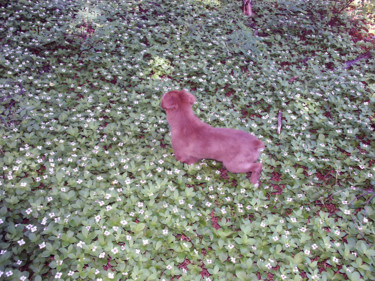 Photography titled "Dog on Dogwood-1" by Igzotic, Original Artwork, Digital Photography
