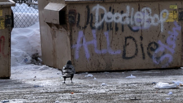 "Raven Reads" başlıklı Fotoğraf Igzotic tarafından, Orijinal sanat, Dijital Fotoğrafçılık