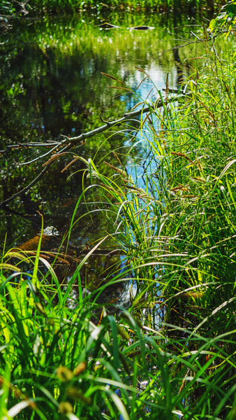 Photographie intitulée "Rest" par Igzotic, Œuvre d'art originale