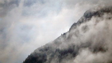 Fotografie mit dem Titel "Sky Forest" von Igzotic, Original-Kunstwerk