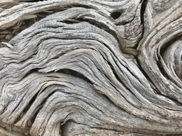 Cedar Photography titled "Cedar" by Igzotic, Original Art, Digital Photography