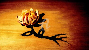 Fotografía titulada "Fiore d'arancio" por Ilesh, Obra de arte original, Fotografía manipulada