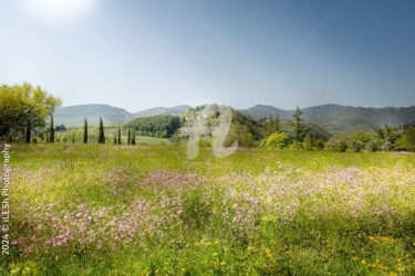 Fotografie getiteld "Primavera Toscana" door Ilesh, Origineel Kunstwerk, Digitale fotografie