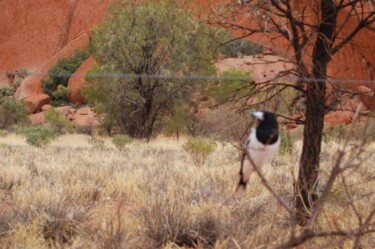 Photographie intitulée "uluru" par Ilgvars Zalans, Œuvre d'art originale