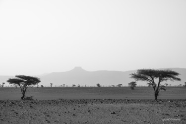 Photographie intitulée "MOROCCO LANDSCAPE" par Julia, Œuvre d'art originale