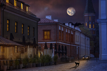 Fotografia intitolato "Night City" da Ilona Kuliešienė, Opera d'arte originale, Pittura digitale