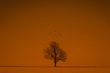 Фотография под названием "Cold World" - Илья Михэй, Подлинное произведение искусства, Манипулированная фотография
