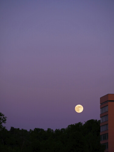 Фотография под названием "Moon Song #1" - Илья Михэй, Подлинное произведение искусства, Не манипулируемая фотография