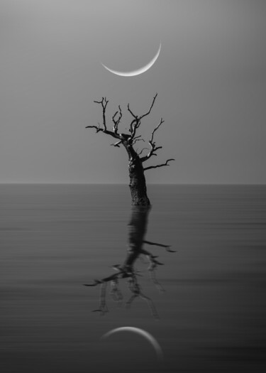 Fotografía titulada "Moon Song #8" por Илья Михэй, Obra de arte original, Fotografía digital