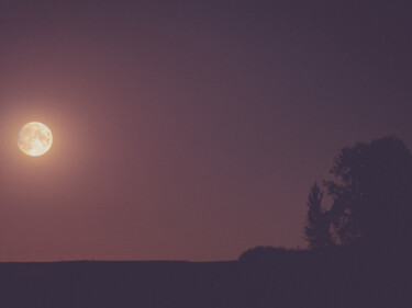 Fotografia intitulada "Moon Song #10" por Ilia Mikhei, Obras de arte originais, Fotografia Não Manipulada